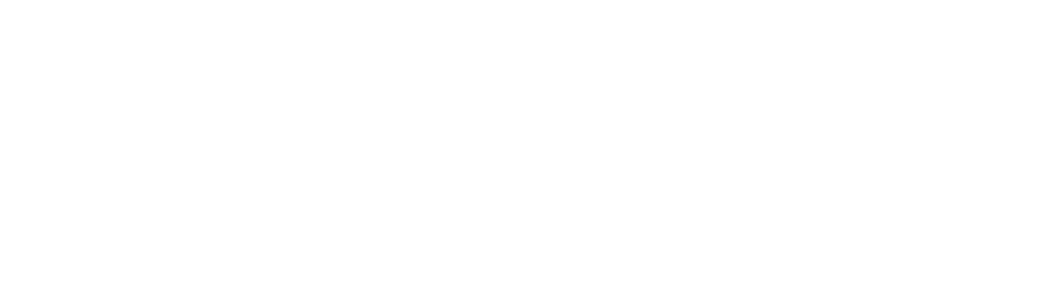 El accidente T01 logo