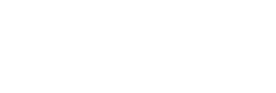Ana T1 logo