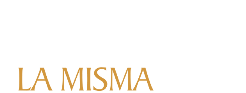 Bajo la misma piel 1 logo