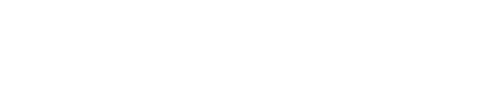 Vienen curvas T1 logo