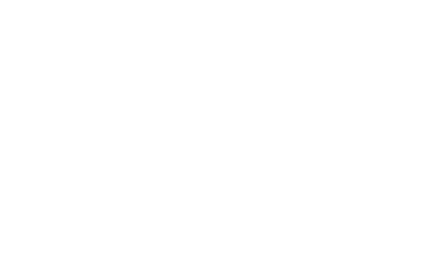 Planes Gourmet T2 logo