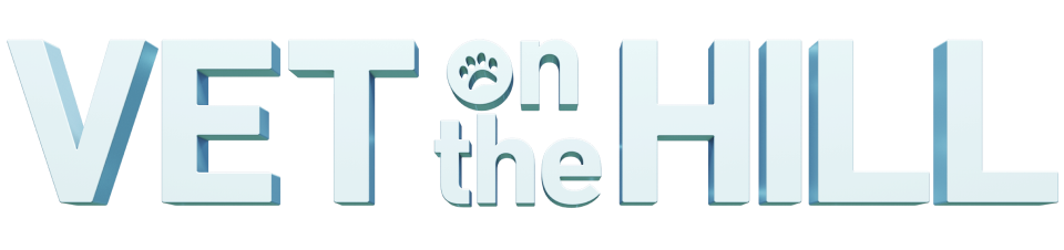 Veterinario en la ciudad T3 logo