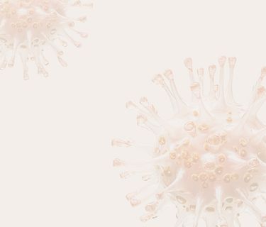 Tenías que saberlo T1