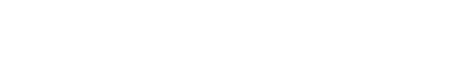 Fiction logo