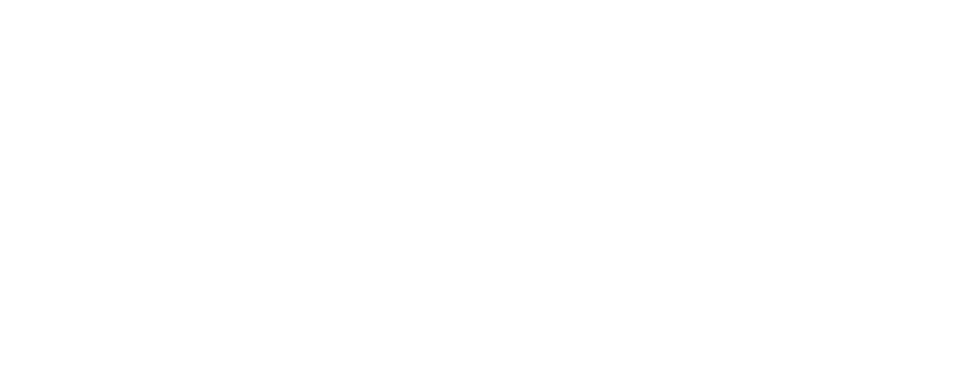 R101 logo