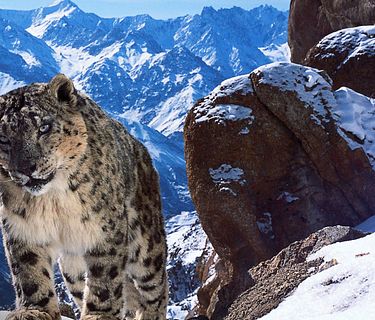 Planet Earth II - Le meraviglie della natura