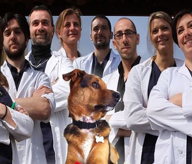 Clinica Veterinaria