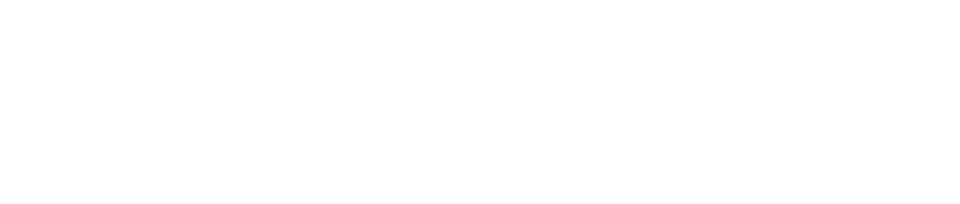 Non mentire logo