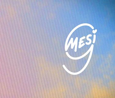 9 mesi