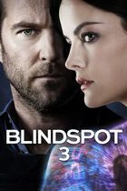 Blindspot 3
