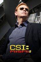 C.S.I. Miami 8