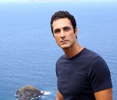Come un delfino