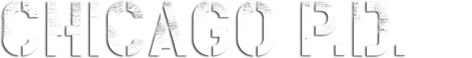 Chicago P.D. 6 logo