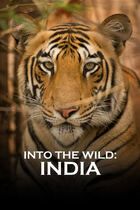 Into the wild: India