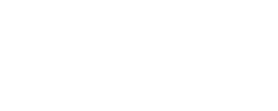 Into the wild: India logo