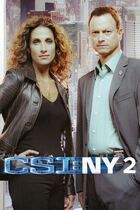 C.S.I. New York 2