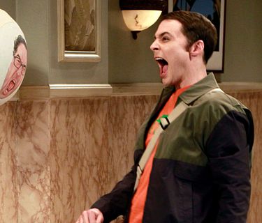 The Big Bang Theory 5