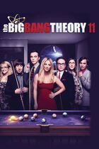 Big bang theory 11