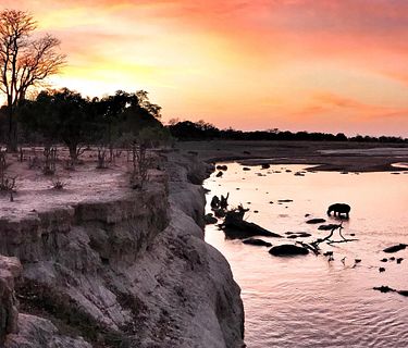 Big cat country