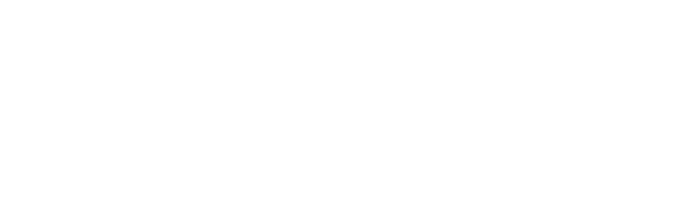 Law & Order: Unità speciale 11 logo