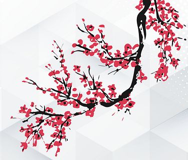 Speciale Olimpiadi Tokyo 2020