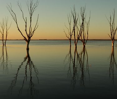 Cose di questo mondo 4