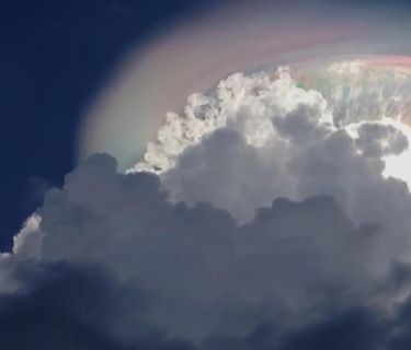 Stranezze di questo mondo