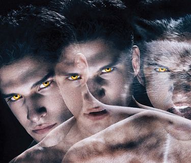 Teen Wolf 3