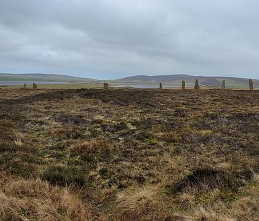 Cose di questo mondo 7