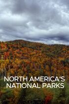 Alla scoperta dei parchi nazionali del Nord America
