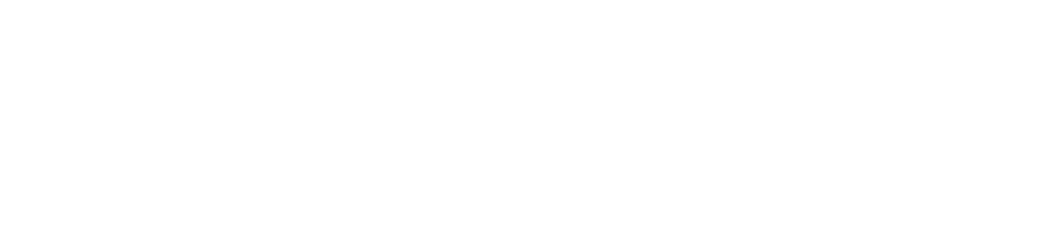 Harry Wild - La signora del delitto logo