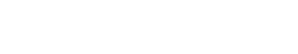 The Cleaning Lady logo