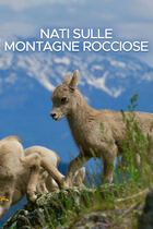 Nati sulle montagne rocciose
