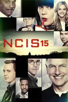 NCIS - Unità anticrimine 15