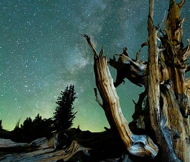 California: un mondo da scoprire
