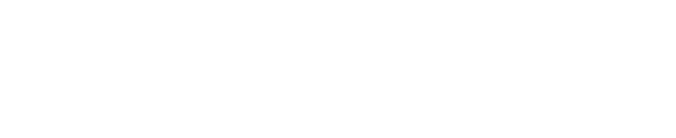 Ingegneria oltre il limite logo