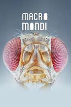 Macro mondi