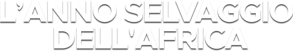 L'anno selvaggio dell'Africa logo