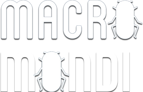 Macro mondi - 4K logo