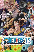 One Piece 15
