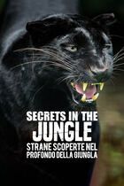 Secrets in the jungle - Strane scoperte nel profondo della giungla