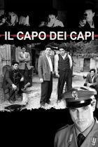Il capo dei capi