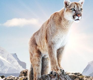 Patagonia - La vita ai confini del mondo