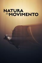 Natura in movimento