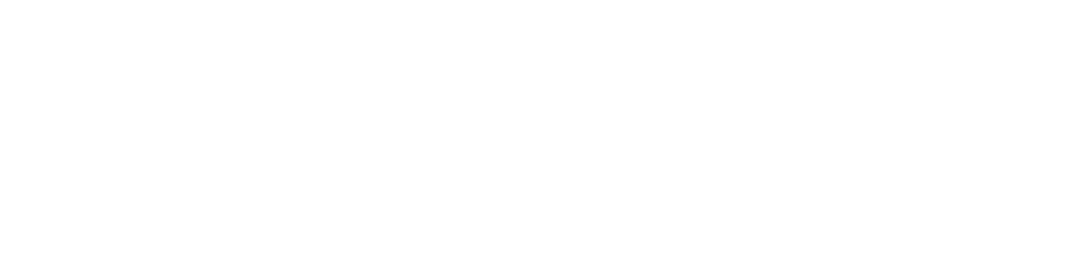 The White Princess 1 logo