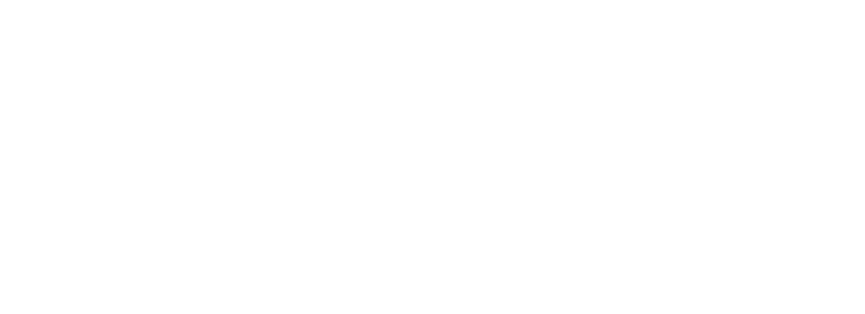 BMF 1 logo