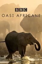 Oasi africane