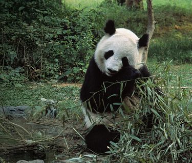 Asia inesplorata