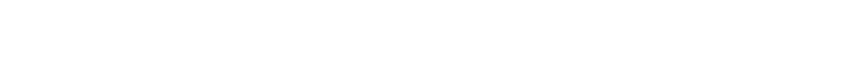 Mega trasporti logo