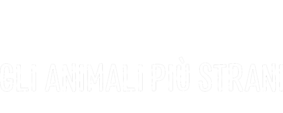 Sud America - Gli animali più strani logo